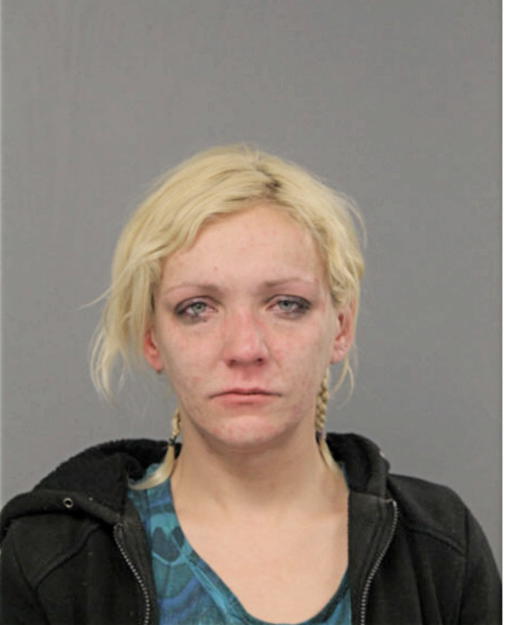SYLVIA LISOWSKA, Cook County, Illinois