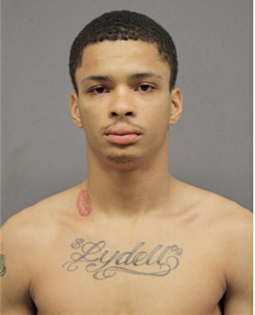 LYDELL D LYNCH, Cook County, Illinois