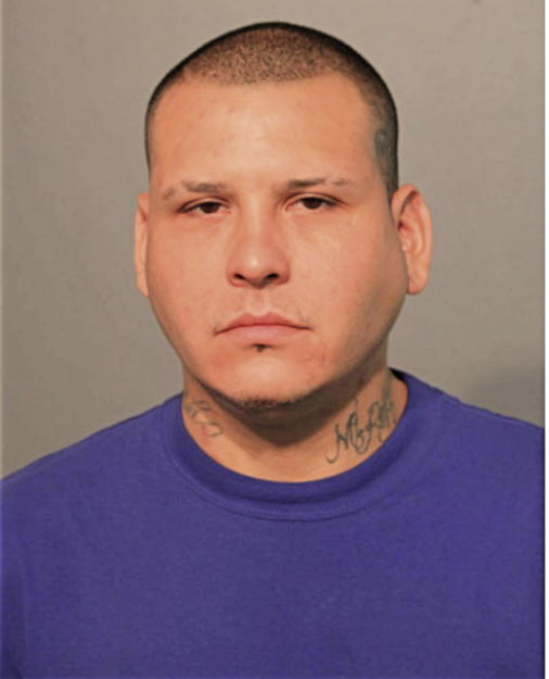 JAMIE D MARTINEZ, Cook County, Illinois
