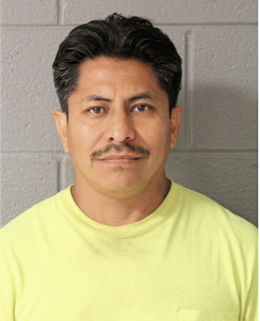 SANTOS MENA, Cook County, Illinois