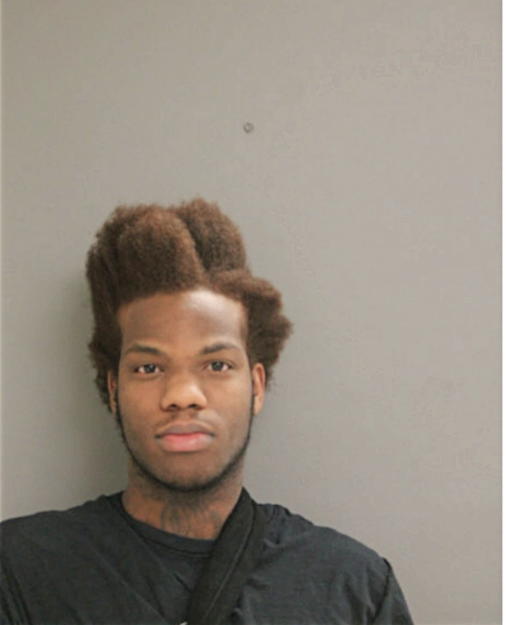 JABRIL BIN-ABDULLAH MUHAMMAD, Cook County, Illinois