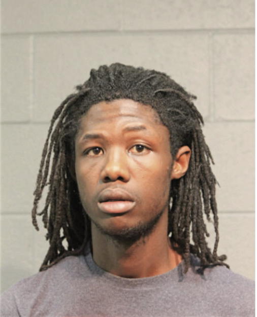 DEREK J NORMAN, Cook County, Illinois