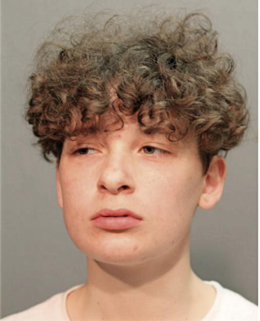 JACLYN O ORTIZ, Cook County, Illinois