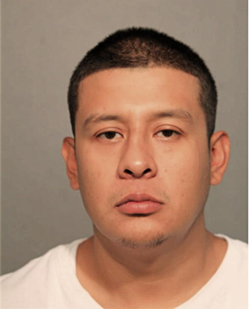 JAVIER ORTIZ, Cook County, Illinois