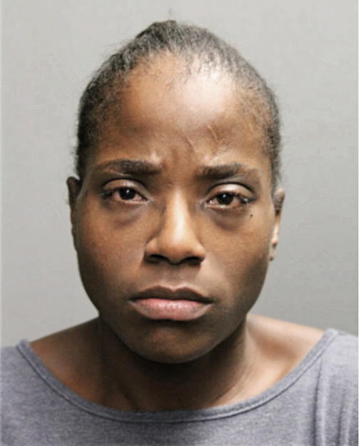 SHEILA N RICHARDSON, Cook County, Illinois