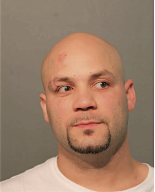 MICHAEL D RIVERA, Cook County, Illinois