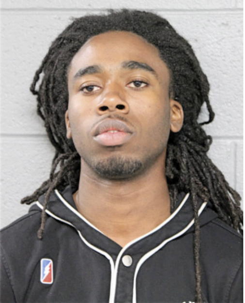 VINCENT G ROBINSON, Cook County, Illinois