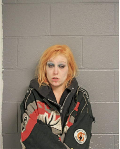 NICOLE L SNELSON, Cook County, Illinois