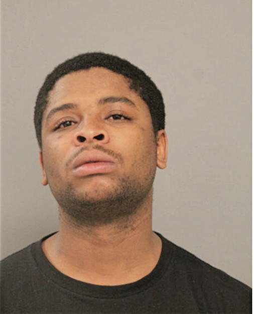 DOMANIQUE T STOKES, Cook County, Illinois