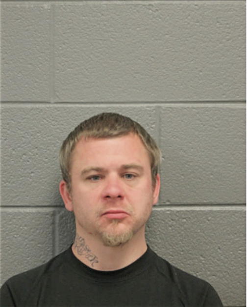 ROBERT G ZERNICKE, Cook County, Illinois