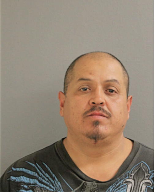 MISAEL ALEMAN, Cook County, Illinois