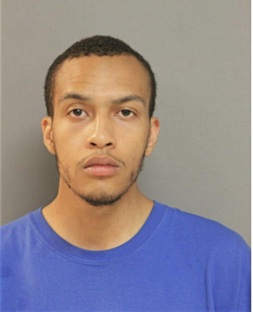 ALFONSO L ANAYA, Cook County, Illinois