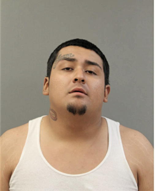 JOSE L ARELLANO, Cook County, Illinois