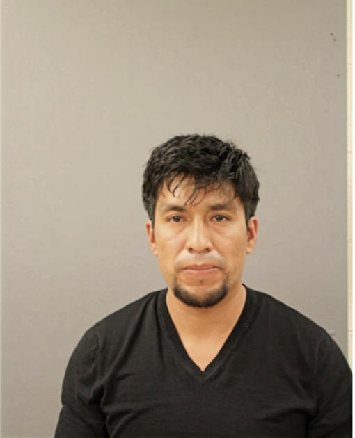 LUIS VICENTE BONETE-VERDUGO, Cook County, Illinois