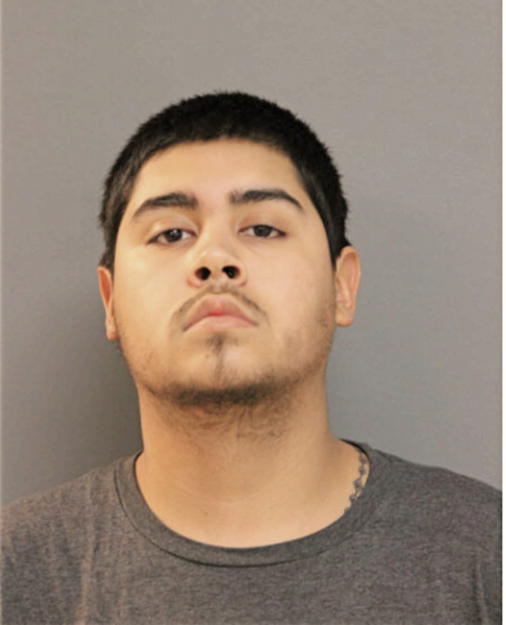 MICHAEL BOZU, Cook County, Illinois