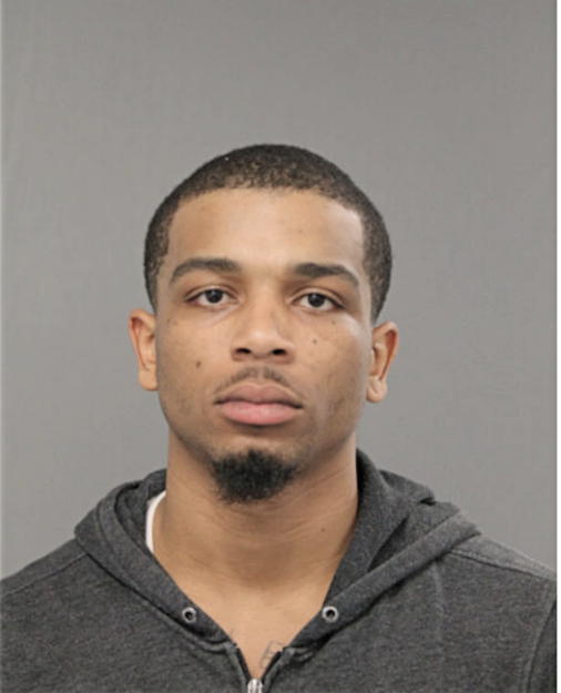 STEVE L BRADLEY, Cook County, Illinois