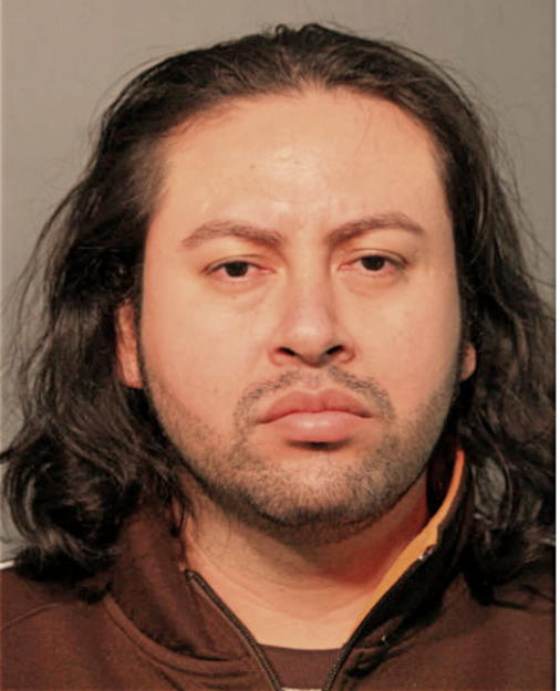 LUIS C HERNANDEZ REYES, Cook County, Illinois