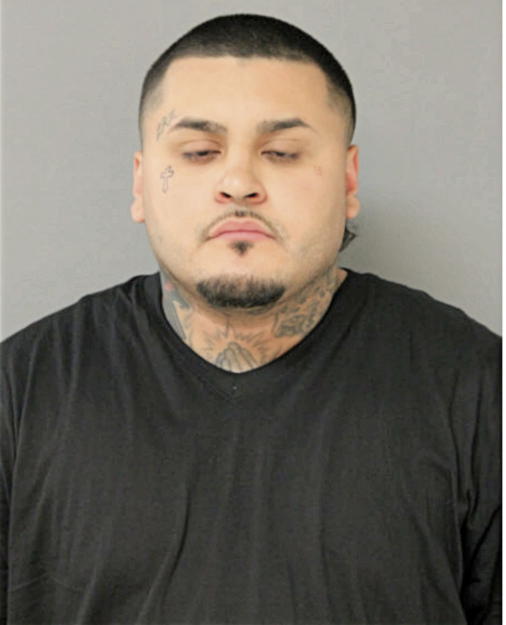RENE S CARDONA, Cook County, Illinois
