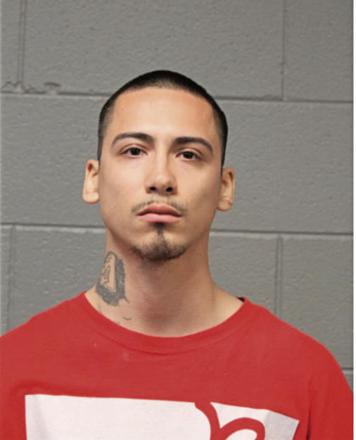 RONALDO A CUBERO, Cook County, Illinois