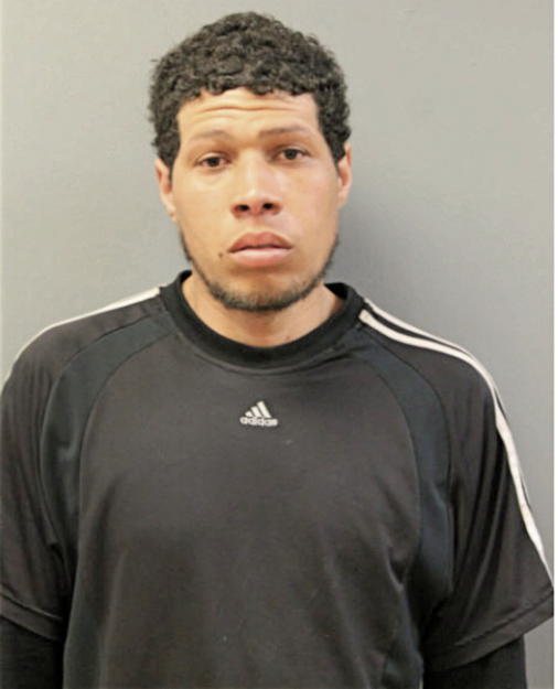CHRISTIAN D ANDINO, Cook County, Illinois