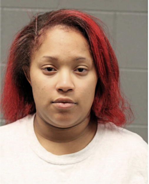 ARYANNA DAVIS, Cook County, Illinois