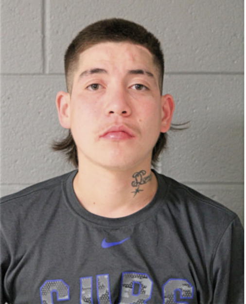 ERICK FLORES, Cook County, Illinois