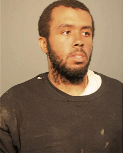 HASSAN K FLOWERS, Cook County, Illinois