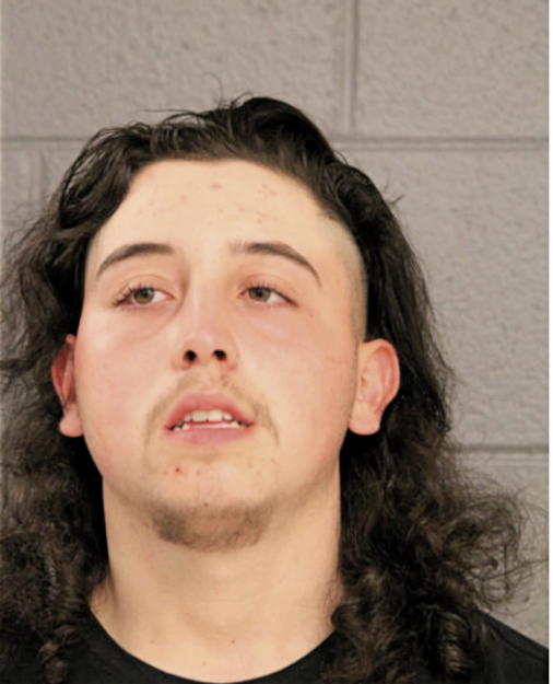 CHRISTOPHER M GARIPPO, Cook County, Illinois