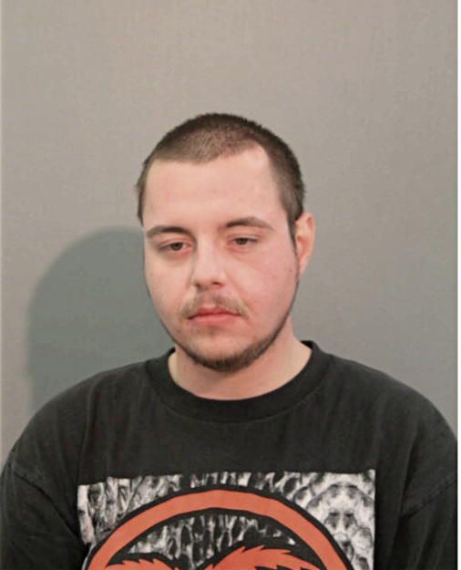 DENNIS R GEORGES, Cook County, Illinois