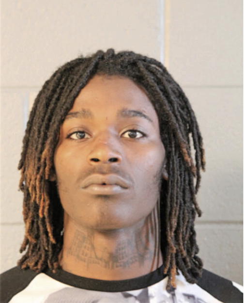 LASHE D HAMLER, Cook County, Illinois