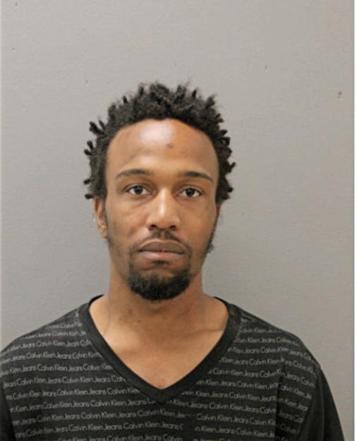 JOSHUA JOHNSON, Cook County, Illinois