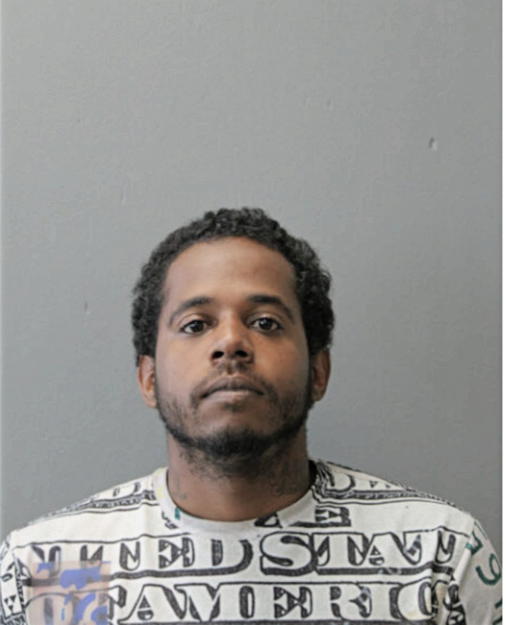 MICHAEL A LEWIS, Cook County, Illinois