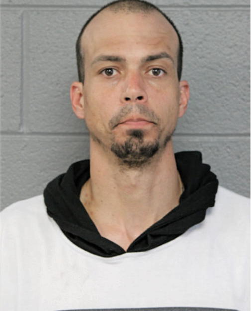 JOELVY MENDOZA, Cook County, Illinois