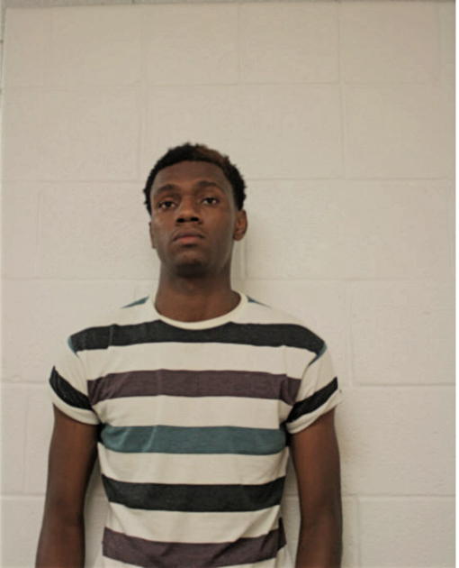BRIAN L MINOR, Cook County, Illinois
