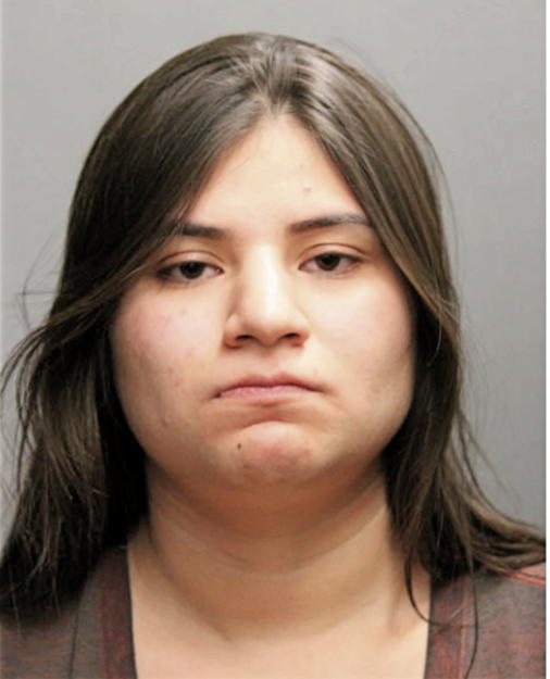 DALIA N PEREZ, Cook County, Illinois