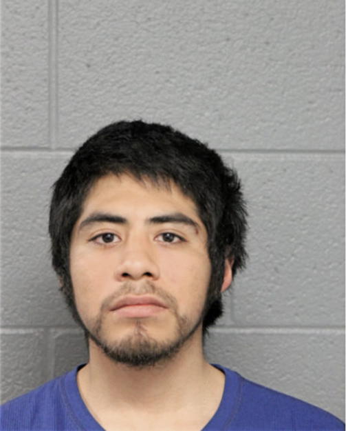 AVILA RAMIREZ, Cook County, Illinois