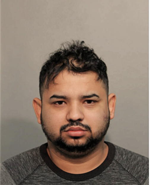 DENIS ROSALES, Cook County, Illinois