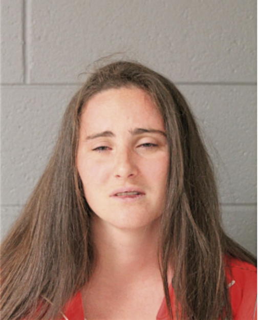MORGAN L RYAN, Cook County, Illinois