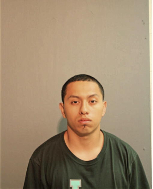 VICTOR H VALLADARES, Cook County, Illinois