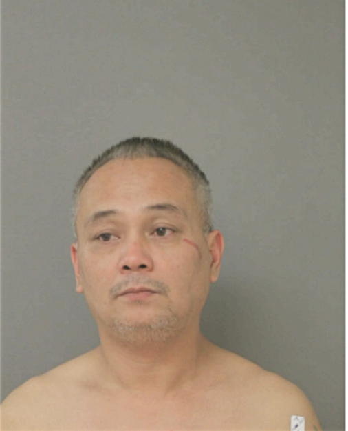 NHU T VO, Cook County, Illinois