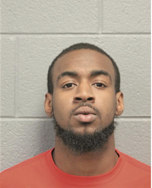 SEAN M WILSON, Cook County, Illinois