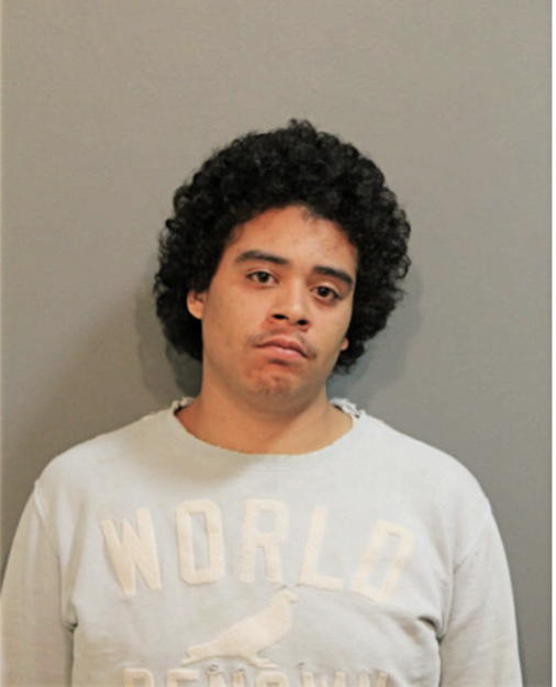 HOSEA D WOODSON, Cook County, Illinois