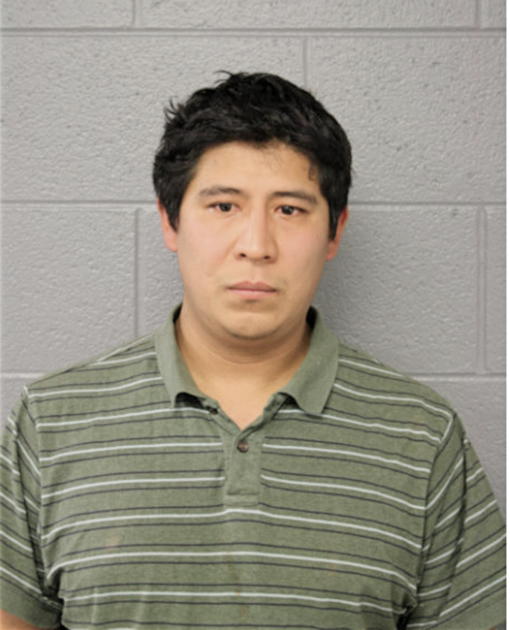 JOSE CARMEN ZAMORA, Cook County, Illinois