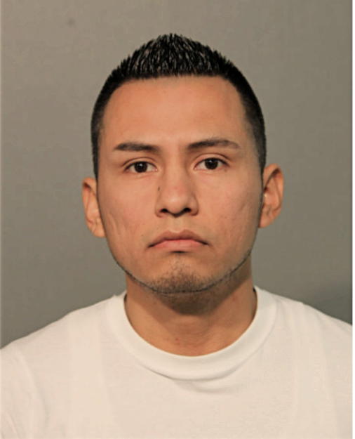 ELISEO ABAD-VARGAS, Cook County, Illinois