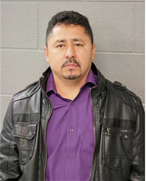 SANTOS AVELAR, Cook County, Illinois