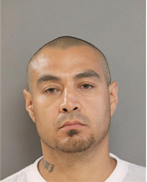 CESAR A BRAVO, Cook County, Illinois