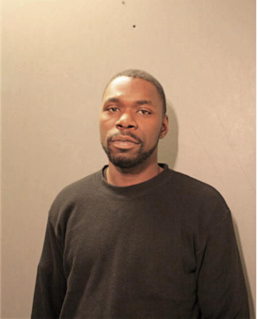BRIAN L BRIDGES, Cook County, Illinois