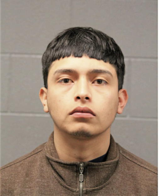 VICTOR A CERVANTES, Cook County, Illinois