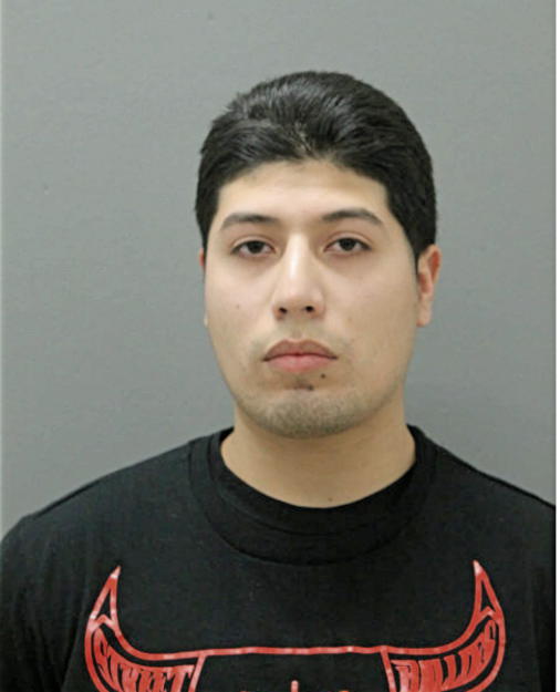 ALEJANDRO FRAUSTO, Cook County, Illinois
