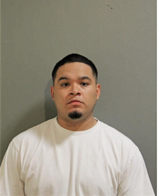 MATTHEW L GARCIA, Cook County, Illinois